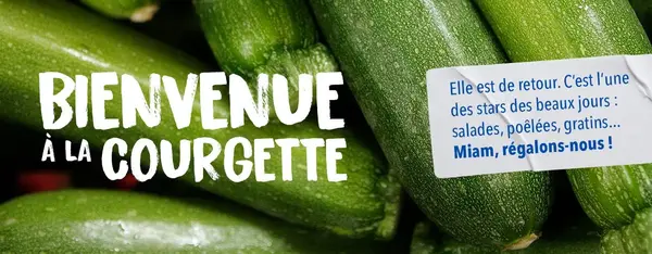 Bienvenue à la courgette !
